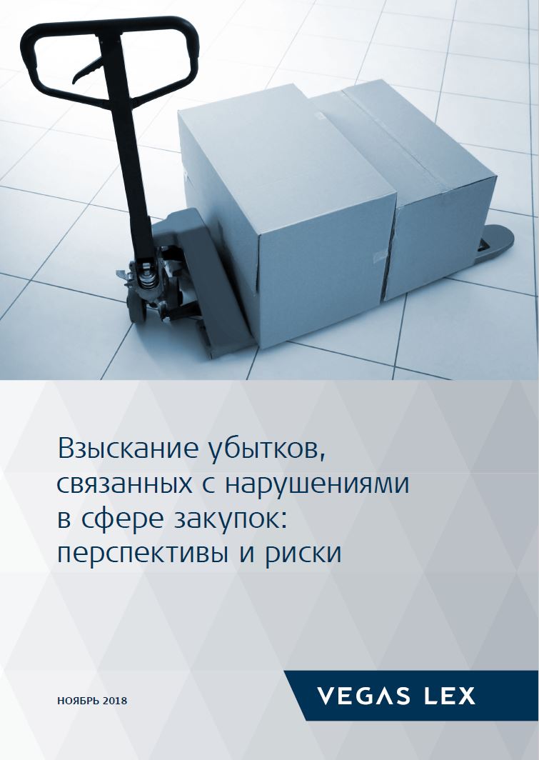 Взыскание убытков, связанных с нарушениями в сфере закупок: перспективы и  риски